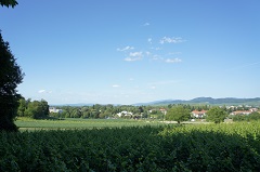 Blick auf die Vita Classica